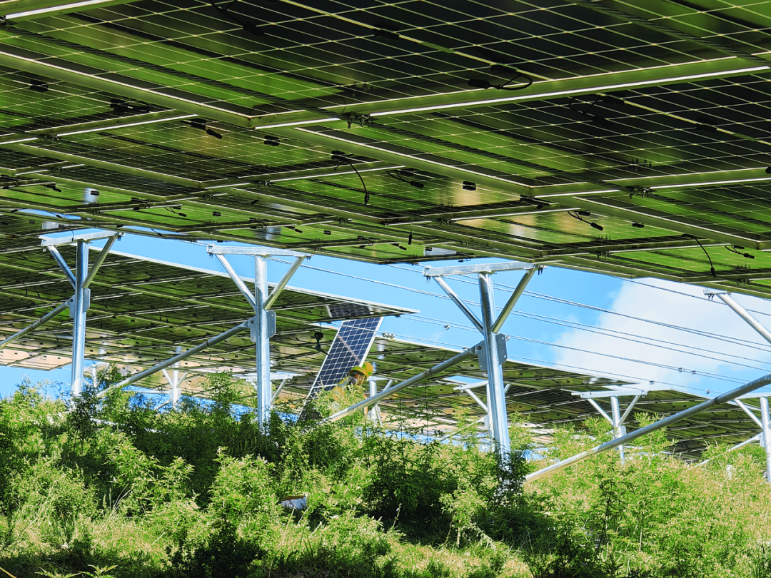 向光而行｜山西建投五建集团以“光伏蓝”赋能“生态绿”